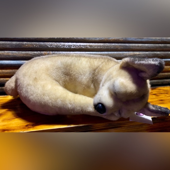 CUDDLE CLONES CHIHUAHUA - Picture 4 of 9